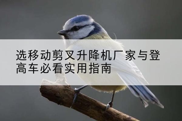 宜君电动升降机厂家-选移动剪叉升降机厂家与登高车必看实用指南