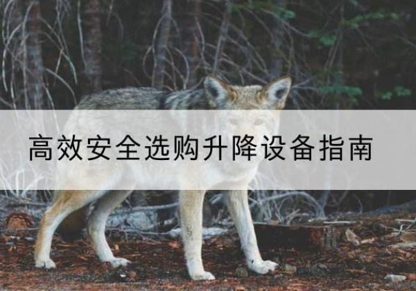 宜君升降货梯厂家推荐-*安全选购升降设备指南