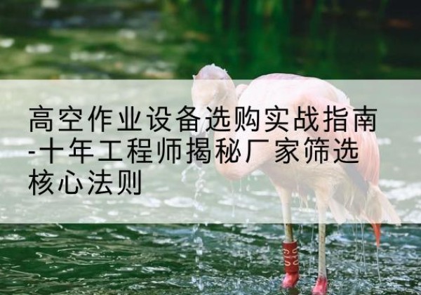 宜君剪叉式升降机厂家-高空作业设备选购实战指南-十年工程师揭秘厂家筛选核心法则